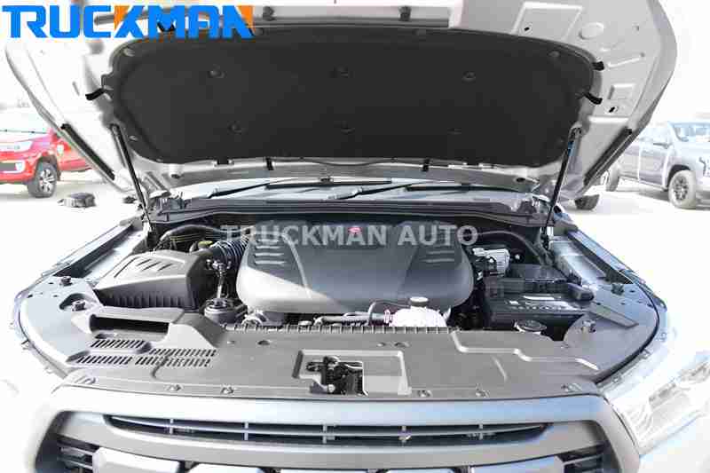 FOTON Pickup Truck