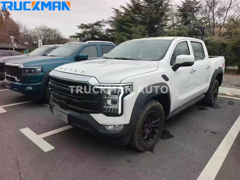 FOTON Pickup Truck